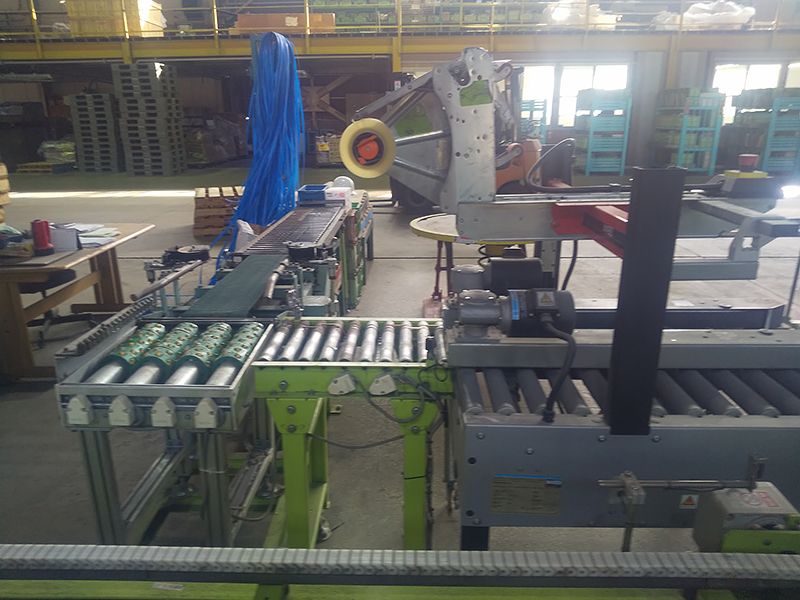 カートンシーラ・捺印